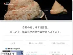 Sites similar to endo-shellmuseum.jp