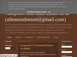 Sites similar to endoreencatsandkittens.blogspot.com