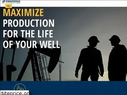 Sites similar to endurancelift.com