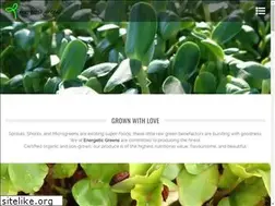 Sites similar to energeticgreens.com