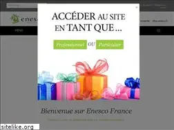 Sites similar to enescofrance.com