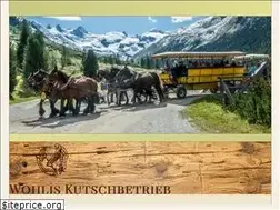 Sites similar to engadin-kutschen.ch