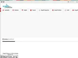 Sites similar to engellihaberler.com
