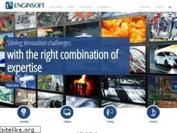Sites similar to enginsoft.com