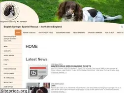 Sites similar to englishspringerrescue.co.uk