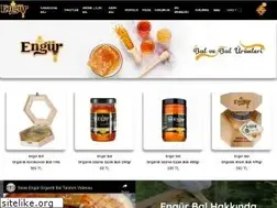 Sites similar to engur.com.tr