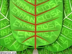 Sites similar to enhanciosa.com