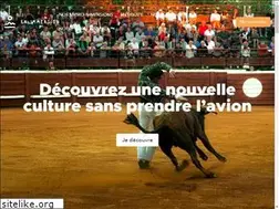 Sites similar to enimmersion.com
