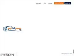 Sites similar to eniyihaliyikama.com
