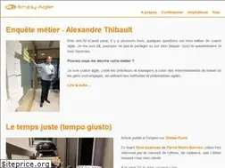 Sites similar to enjoyagile.com