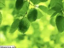 Sites similar to enjoyinglifemore.org