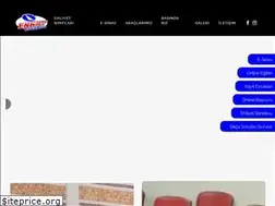 Sites similar to enkaysurucukursu.com