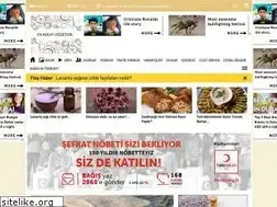 Sites similar to enkolaylezzetler.com