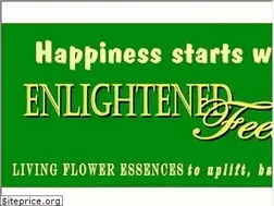 Sites similar to enlightenedfeelings.com