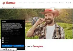Sites similar to enorossi.it