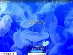 Sites similar to enosui.com