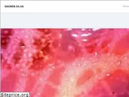 Sites similar to enoweb.co.uk