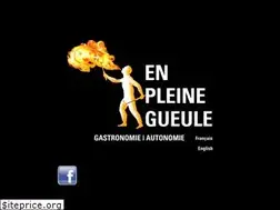 Sites similar to enpleinegueule.com