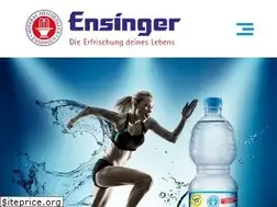 Sites similar to ensinger.com