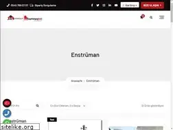 Sites similar to enstrumanbizde.com