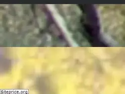 Sites similar to entradadeloroca.org