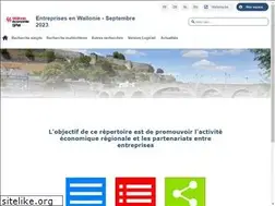 Sites similar to entreprisesdewallonie.be