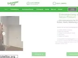 Sites similar to entruempler-profi.de