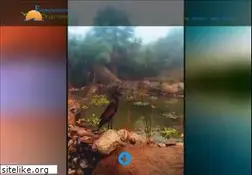 Sites similar to environmentalsculpturing.com