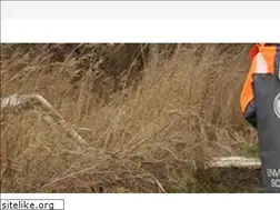Sites similar to environmentsolutions.dk