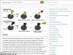 Sites similar to enzimler.gen.tr