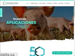 Sites similar to enziquim.com