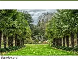 Sites similar to epalmtrees.com