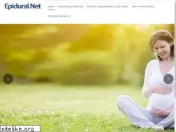 Sites similar to epidural.net