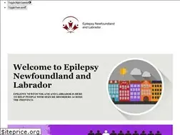 epilepsynl.com