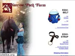 Sites similar to equi-belt.com