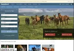 Sites similar to equinenow.com