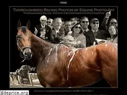 Sites similar to equinephoto-art.com
