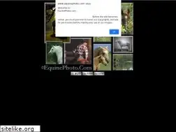 Sites similar to equinephoto.com