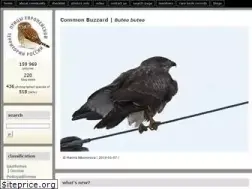 Sites similar to erbirds.ru