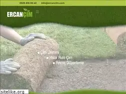 Sites similar to ercancim.com