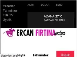 Sites similar to ercanfirtina.com