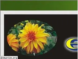 Sites similar to erciyestohum.com