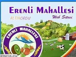 Sites similar to erenli.net