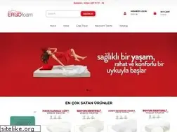 Sites similar to ergofoam.com