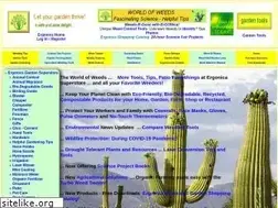 Sites similar to ergonica.com