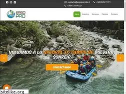 Sites similar to ergoprochile.cl