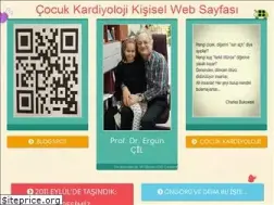 Sites similar to erguncil.com