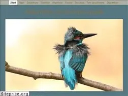 Sites similar to erhardlaube.de
