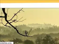 Sites similar to erholung-am-bodensee.com