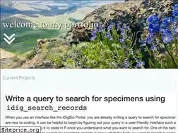 Sites similar to ericakrimmel.com